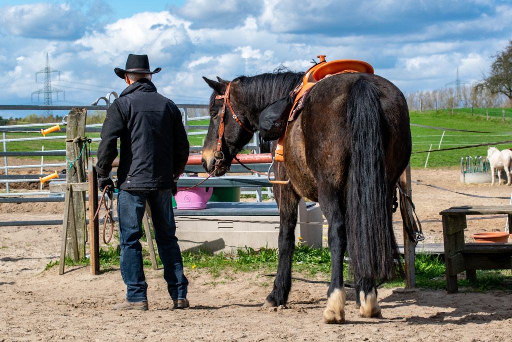 Horsemanship - Vertrauen zwischen Pferd und Mensch
